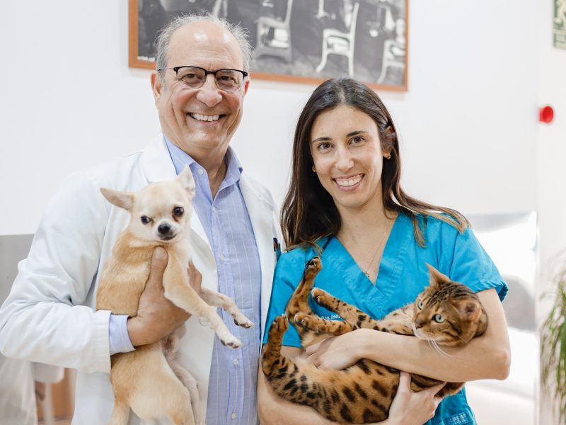 Miquel e Inés de Miquel Janer Clínica Veterinaria en Sant Gervasi de Barcelona Miquel e Inés, veterinarios con perro y gato en brazos, de Miquel Janer Clínica Veterinaria en Sant Gervasi de Barcelona